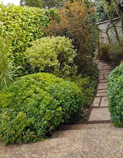 taille de vos végétaux, entretien d'espace verts, Cap'Paysages, paysagiste à Martillac, Cadaujac, Villenave d'Ornon, la Brède, Saucats, Léognan, Audenge, bassin d'Arcachon
