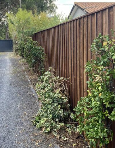 Nous réalisons de belles clôtures bois volige et couvre joint à Bordeaux, Audenge, Cap-Ferret, Bassin d'Arcachon