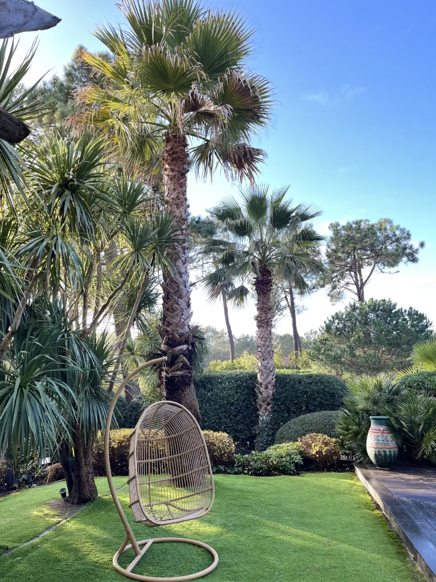rivière sèche et plantations, Cap'Paysages, paysagiste,La Brède, Martillac, Cadaujac, Villenave d'Ornon, Saucats