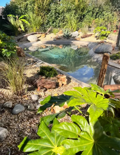 Une mini piscine lagon à La Brède avec un bel aménagement paysager par Cap'Paysages