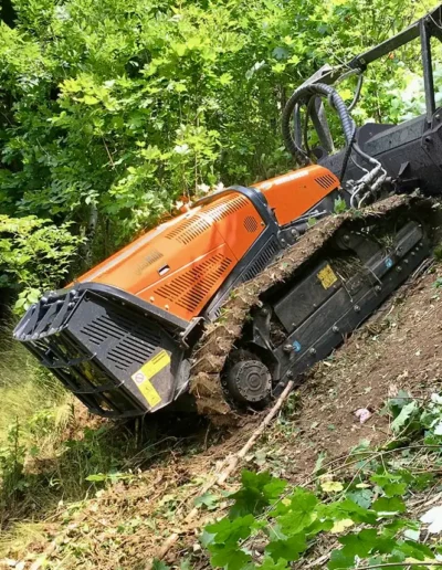 debroussaillage old sud bassin arcachon terrains pentus